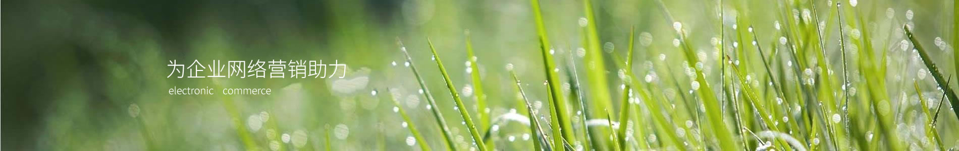 Ӽ()װ޹˾